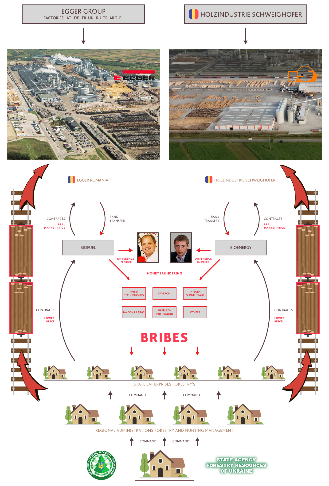 Інфографіка схеми з відеоматеріалу «Королі українських лісів»